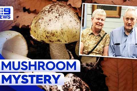 Homicide detectives investigate suspected wild mushroom poisoning in Victoria