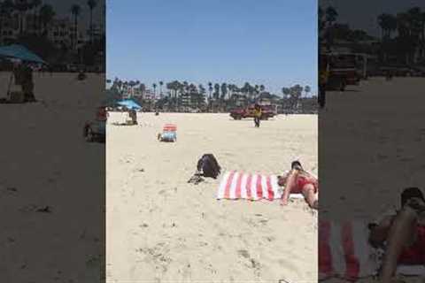 Beachgoer's chair becomes new home for swarm of bees in California