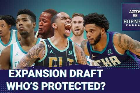 Fantasy Expansion Draft: Which Charlotte Hornets would you protect?