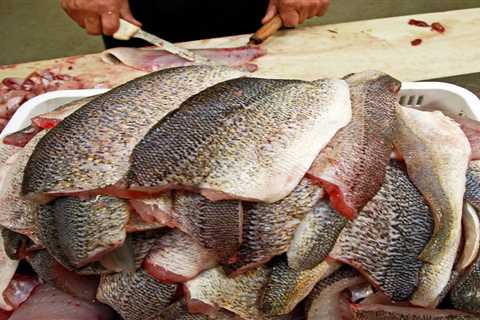 Fish Processors Charged for Stealing a Hundred Walleye Fillets from a Soup Kitchen