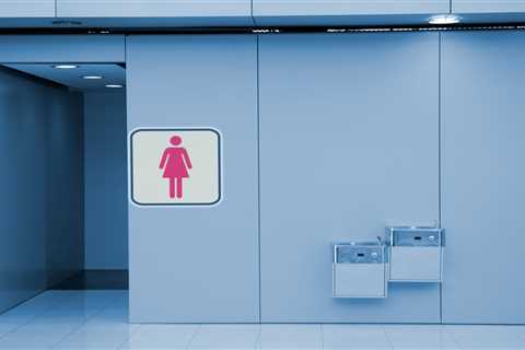 Female-only toilets will be guaranteed in new buildings amid rise of woke gender neutral loos