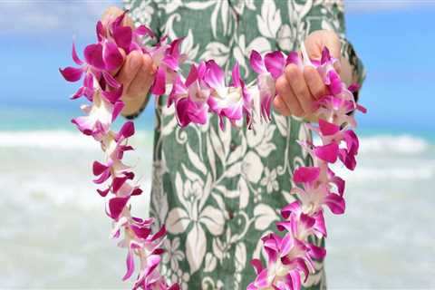 Creating an Engaging Layout for a Hawaiian Culture Blog