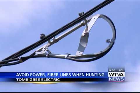 Dove hunters reminded to avoid shooting power lines