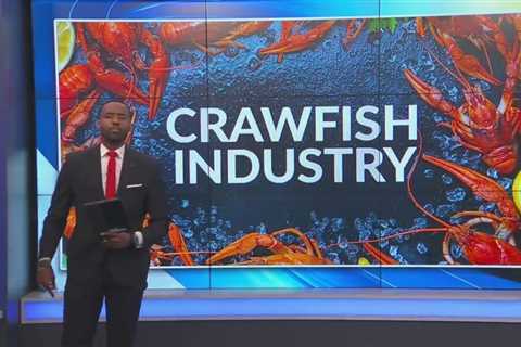 Drought continues to cause problems for crawfish production