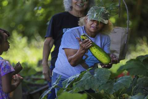 Treasured community garden in Highland Park could be uprooted in land dispute