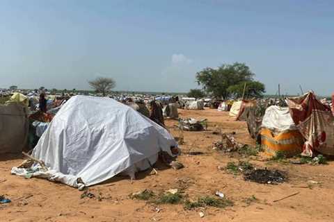 Sudanese refugees in Chad struggle to survive – Nation & World News