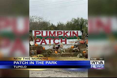 Tupelo Buffalo Park and Zoo preparing for Patch in the Park