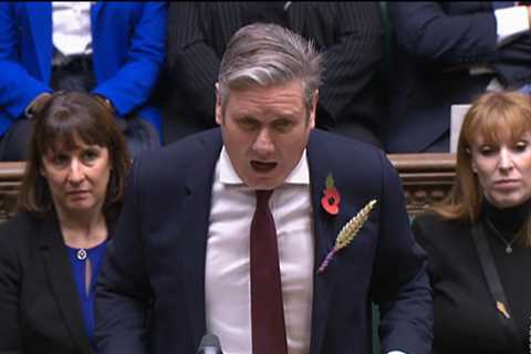 Why MPs Wear a Wheat Sheaf: The Meaning Explained