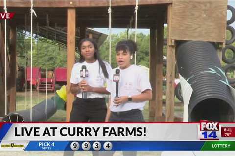 Fox 14 Your Morning News: Swing/Slide walk-through at Curry Farm