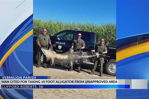 Morgan City man accused of illegally taking 10-foot alligator in Vermilion Parish