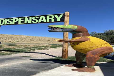 Pot Boom Wakes Sleepy Dinosaur, Colorado