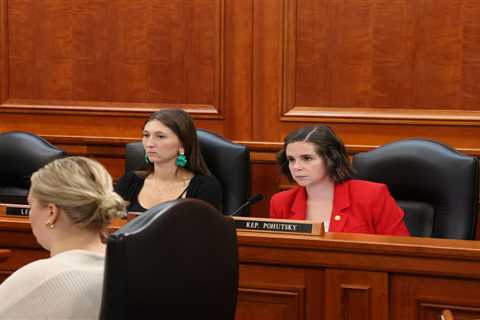 House panel hears testimony on whether to remove ban on local regulation of plastic bags ⋆