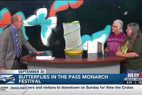 Happening September 30: Butterflies in the Pass