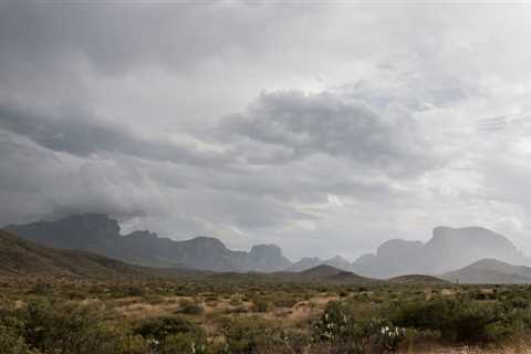 West Texas Sage by Cade Huie