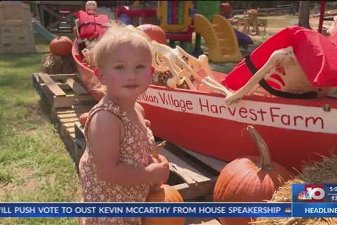 Indian Village Harvest Farm opens pumpkin patch for the season