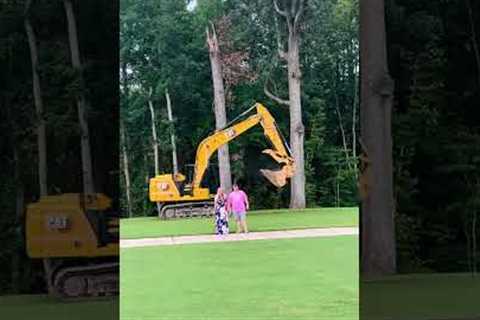 Excavator gender reveal delivers extraordinary news