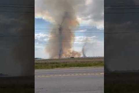 Rare moment two fiery dust devils spotted over farmland