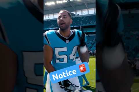 ???????????? #panthers #nfl #keeppounding