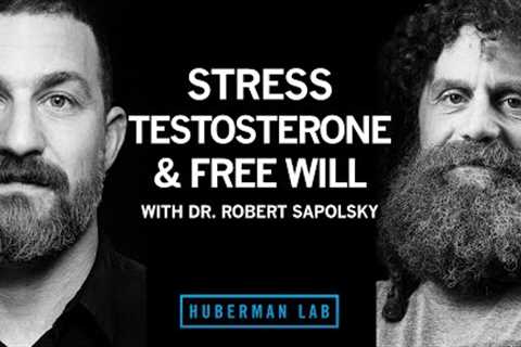 Dr. Robert Sapolsky: Science of Stress, Testosterone & Free Will | Huberman Lab Podcast #35