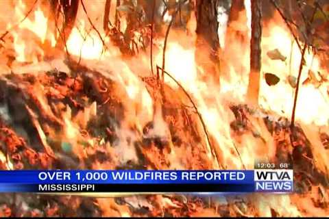 More than 1K wildfires reported in Mississippi