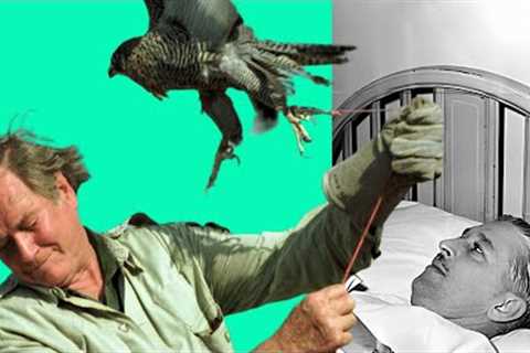 The Sad Reason Marlin Perkins Quit Wild Kingdom