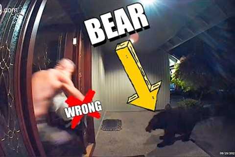 Never Do THIS to a Bear (Caught on Ring Doorbell)