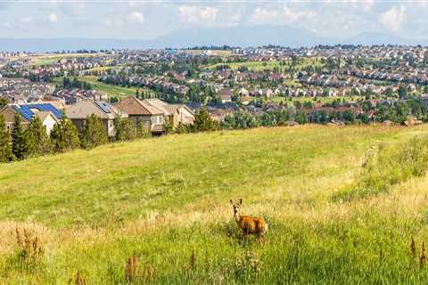 Exploring the Cultural Centers of Arapahoe County, Colorado