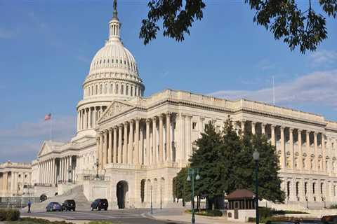 The Federal Government's Role in Washington DC Politics