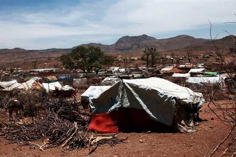 Women and girls abducted, held ‘in slave-like conditions’ in Darfur — Global Issues