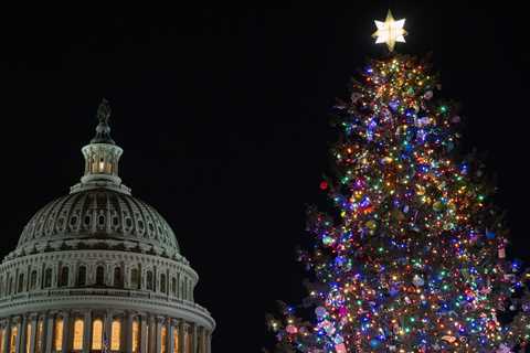 A Norway spruce from West Virginia is headed to the Capitol to be this year’s Christmas tree