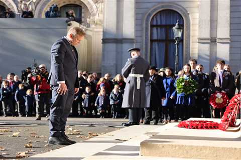 Defence Secretary Condemns Thugs for Chaos and Violence on Armistice Day