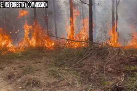 Mississippi Partial Statewide Burn Ban lifted