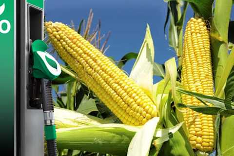 Biofuels production in Italy