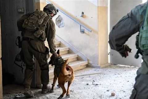 Israeli Army Dogs Expose 50 Booby-Traps and Weapons Stockpiles in Gaza