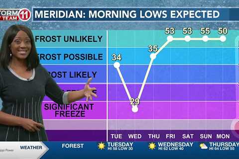 News 11 at 10PM_Weather 11/27/23