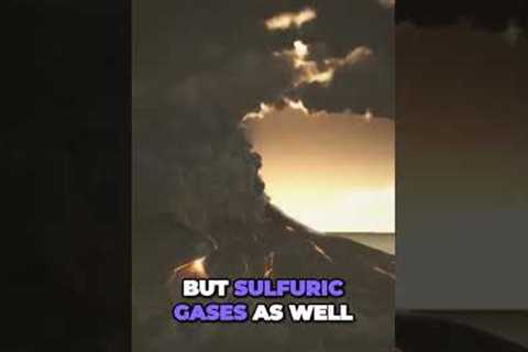 Volcanic eruptions: impact on surface life