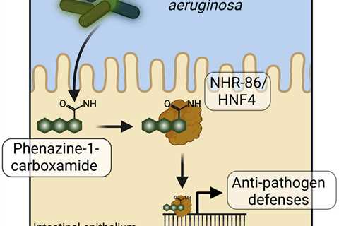 Investigators identify new pattern recognition system that monitors disease-causing bacteria in C...