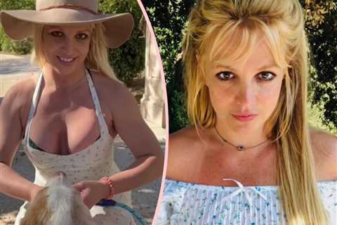 Oh No! Britney Spears’ Birthday Celebration Cut Short After Her Dog Suffers Medical Emergency!