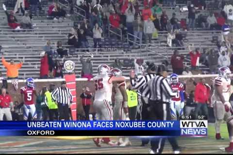 Unbeaten Winona wins 3A state title game