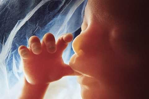 Over 30,000 Babies Born Since Roe v. Wade Overturned, New Study Shows