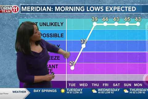 News 11 at 6PM_Weather 12/11/23