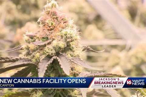 Cannabis Manufacturing Facility