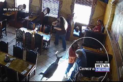 FULL STORY: Deer crashes into Pontotoc restaurant