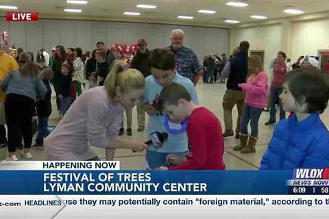 Inaugural “Festival of Trees” in Gulfport