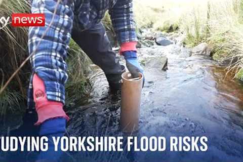 How nature might reduce flood risks in the Yorkshire Dales | Climate Show with Tom Heap