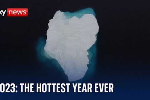 2023 is the hottest year ever, but are there reasons to be cheerful? | The Climate Show