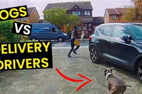 TOP 23 - Dogs VS Delivery Drivers | BEWARE Of The Dog!