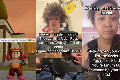 Going on record: 'I just wanna be your sigma' parodies are the best meme of 2023 because they..