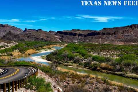 How old Christmas trees are helping Texas fish habitats