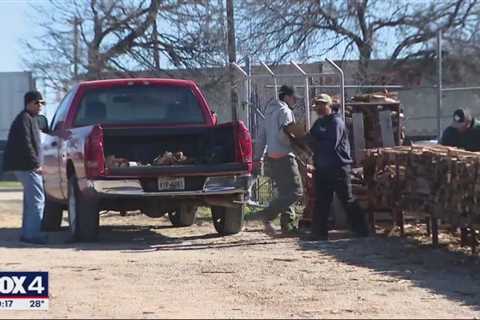 North Texans stock up before arctic blast